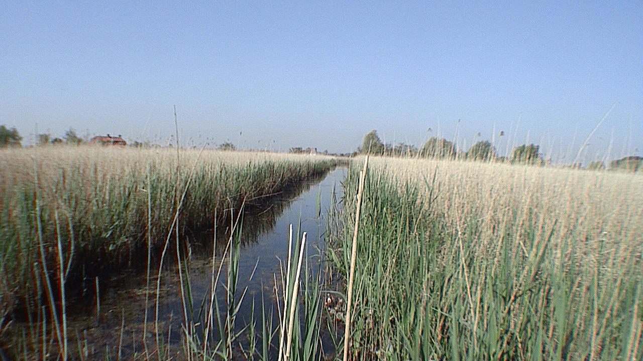 Marais audomarois — Saint-Omer